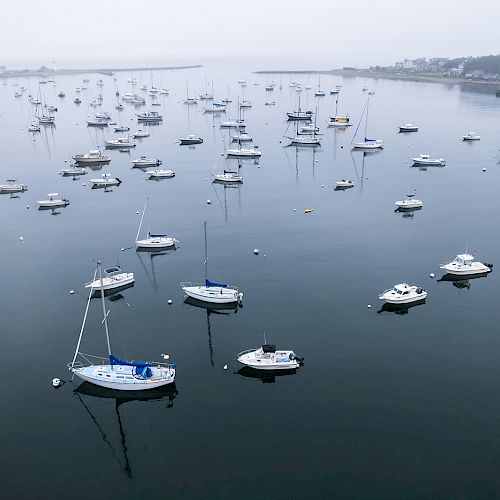 The image shows numerous boats anchored on a calm, foggy body of water with a distant shoreline and buildings in the background, ending the sentence.